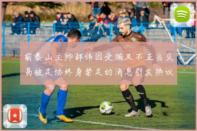 前泰山主帅郝伟因受贿及不正当交易被足协终身禁足的消息引发热议